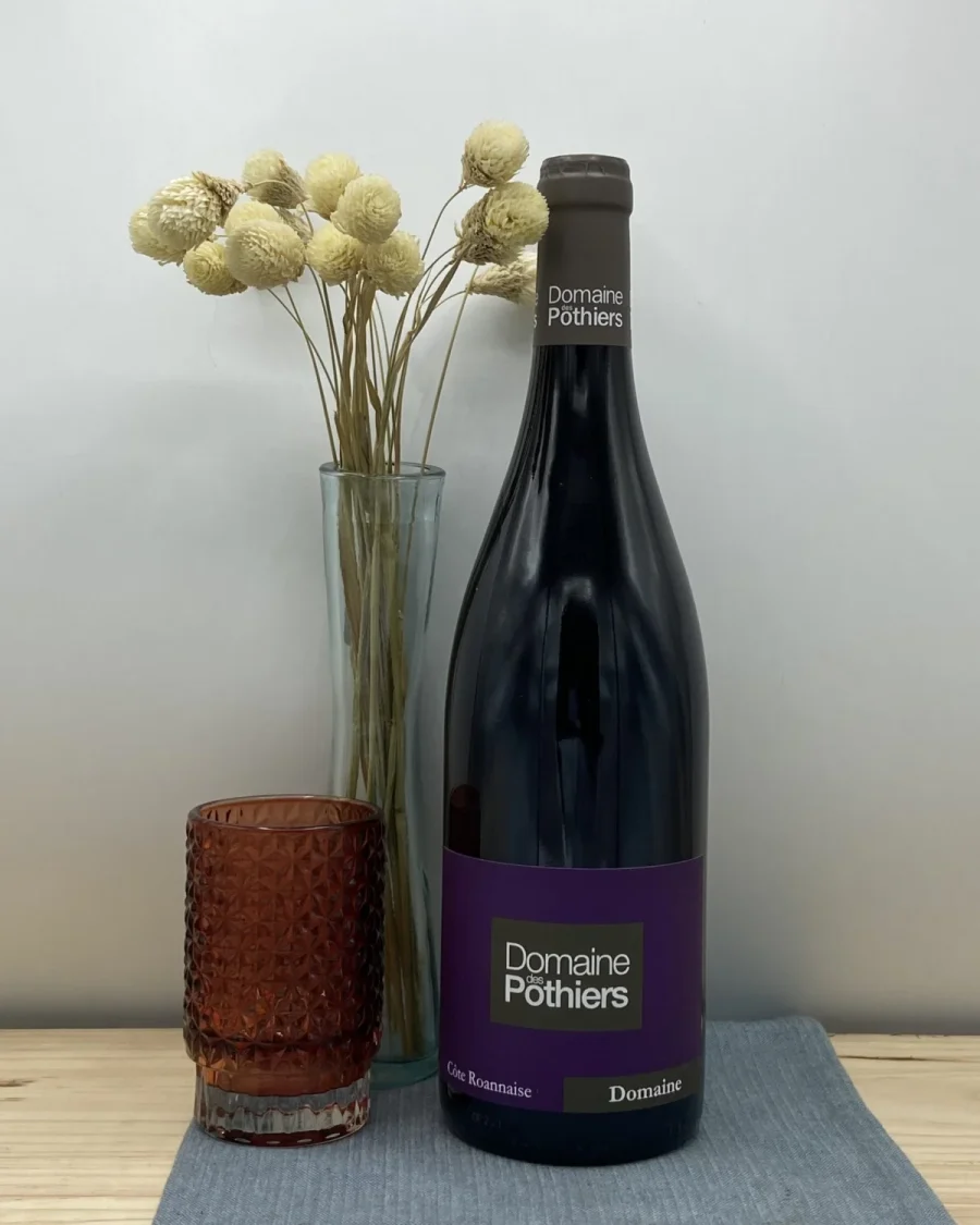Bouteille Domaine des Pothiers - AOP Côte Roannaise - Domaine