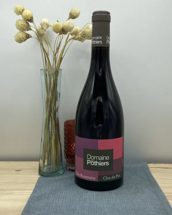 Bouteille Domaine des Pothiers - AOP Côte Roannaise - Clos du Puy