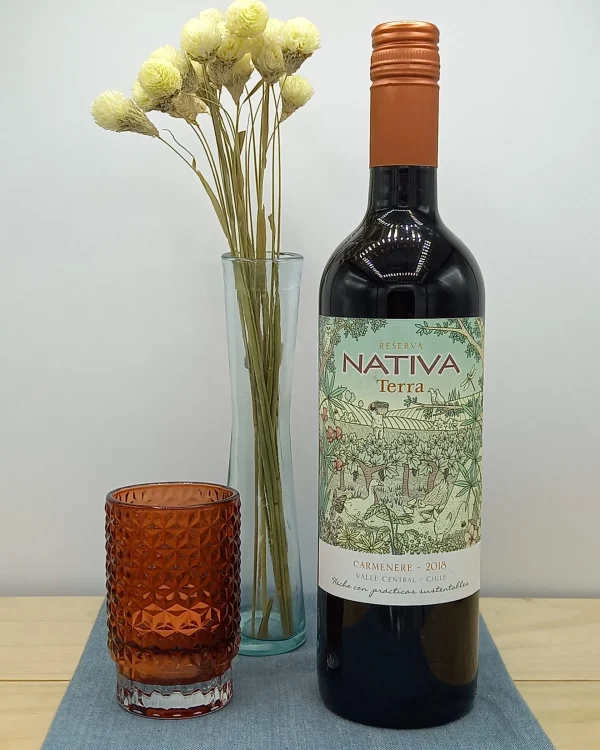 Bouteille Nativa - DO Valle Central - Terra Reserva