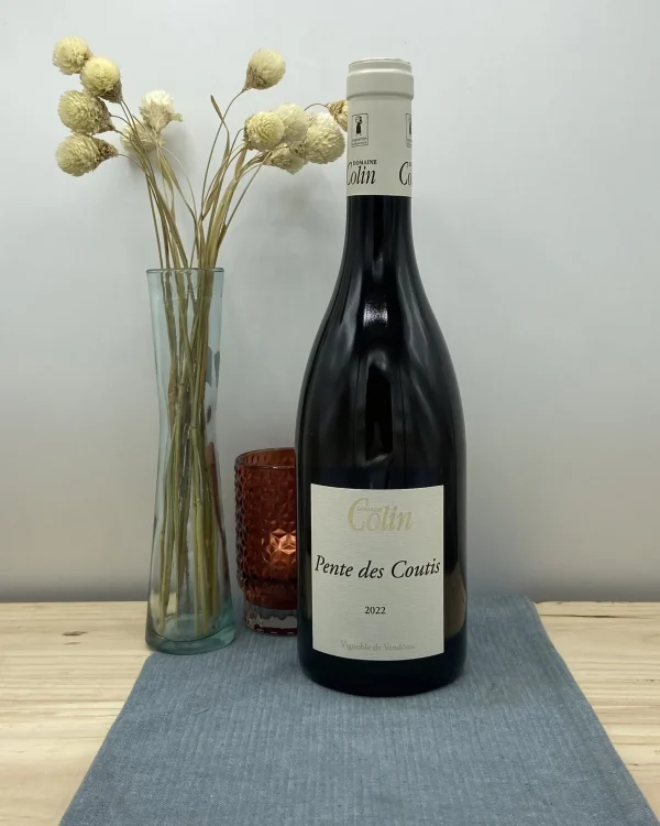 Bouteille Patrice Colin - AOC Coteaux du Vendômois - Pente des Coutis