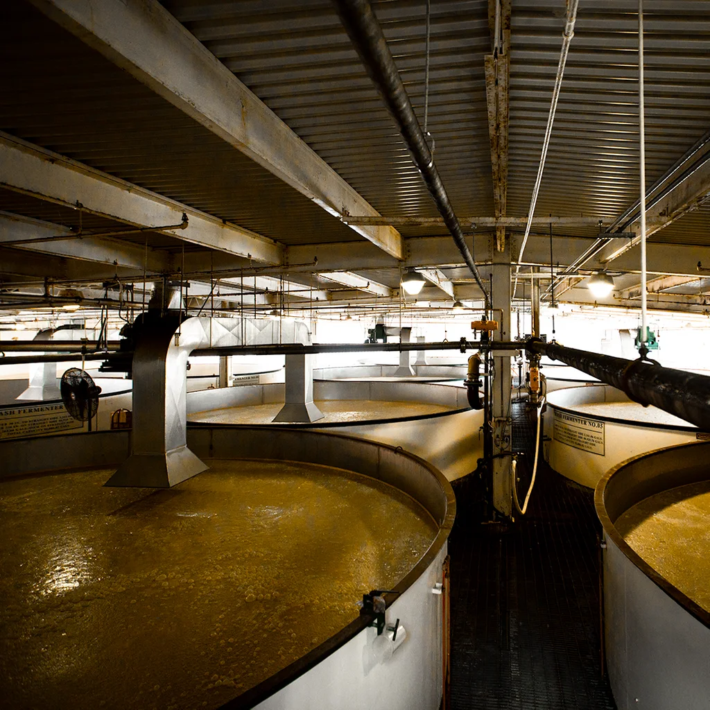 Les cuves de fermentation — Blanton's
