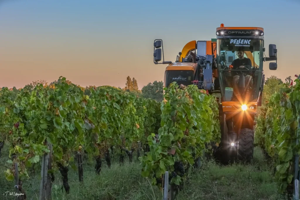 Les vendanges mécaniques — Château Mondésir Gazin