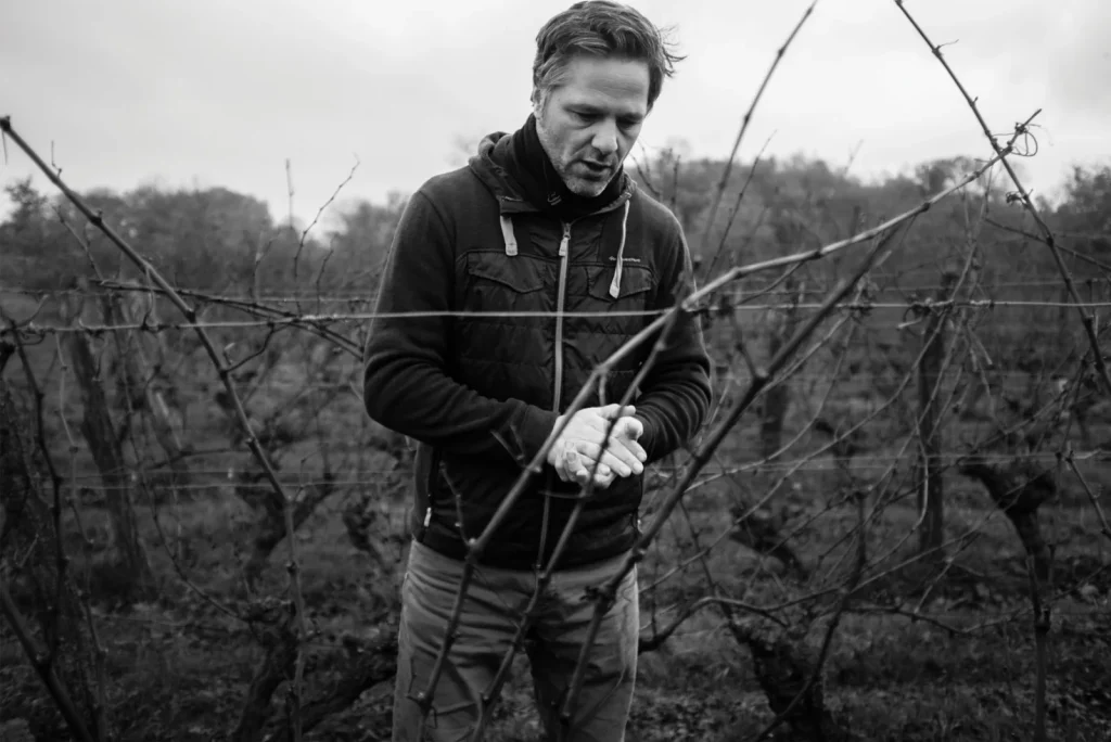 Le travail à la vigne — Chateau Yvonne