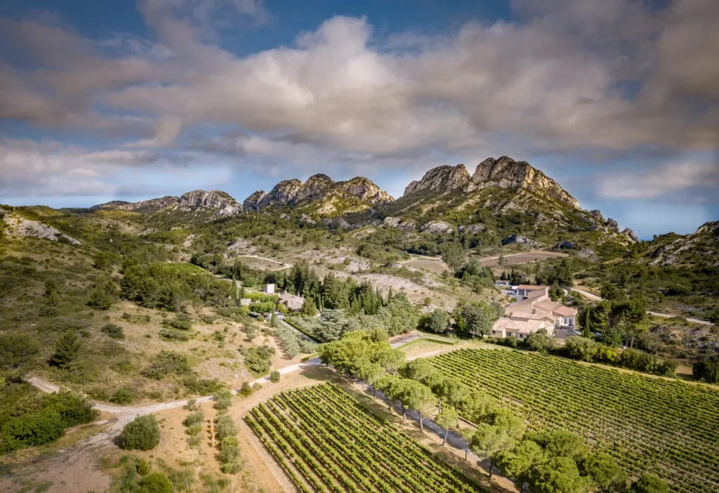 Les vignes au pied des Alpilles — Domaine de la Vallongue