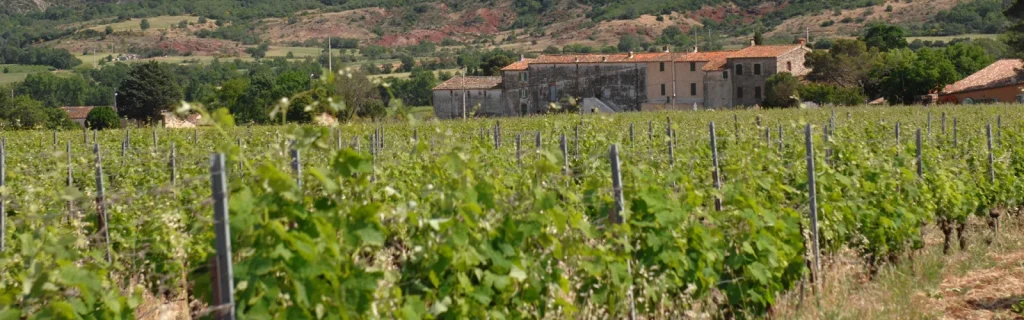Les bâtiments au milieu des vignes — Domaine Malaveille