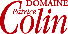 Logo — Domaine Patrice Colin