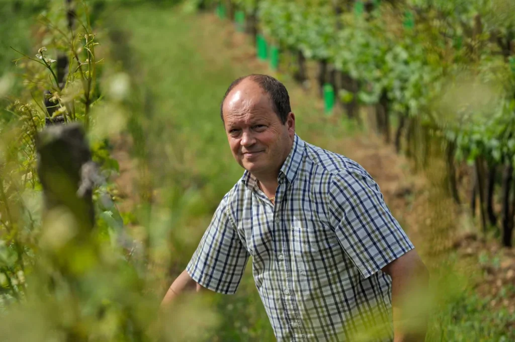 Un vigneron dans les vignes — Domaine Patrick Hudelot