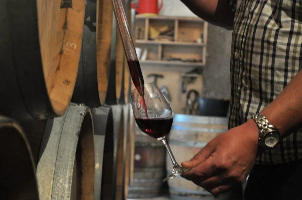 Prélèvement de vin au fût — Domaine Patrick Hudelot