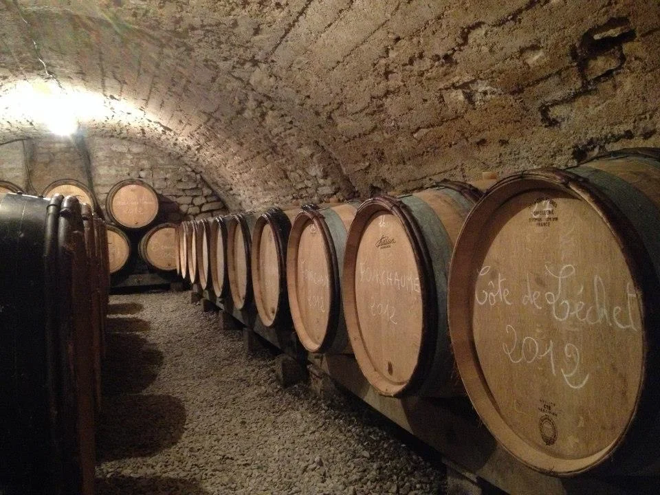 Les barriques sous la voûte — Domaine Pommier