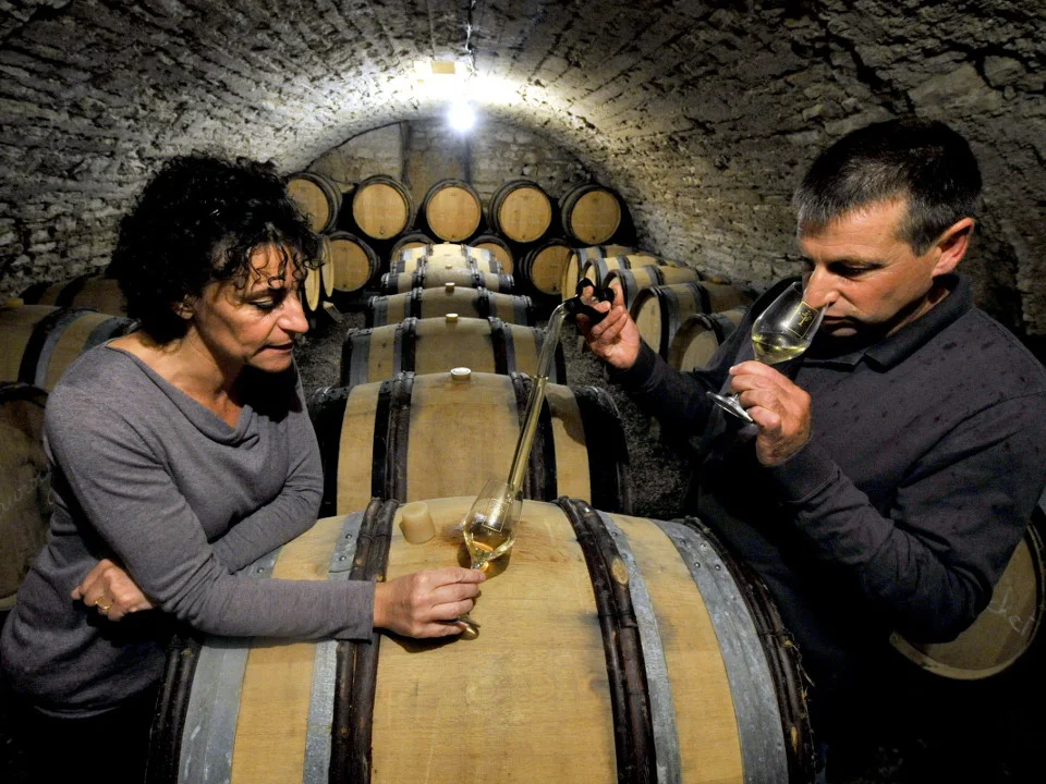 Dégustation dans la cave — Domaine Pommier