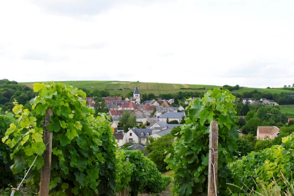 Le village entre les vignes — Domaine Raimbault Pineau