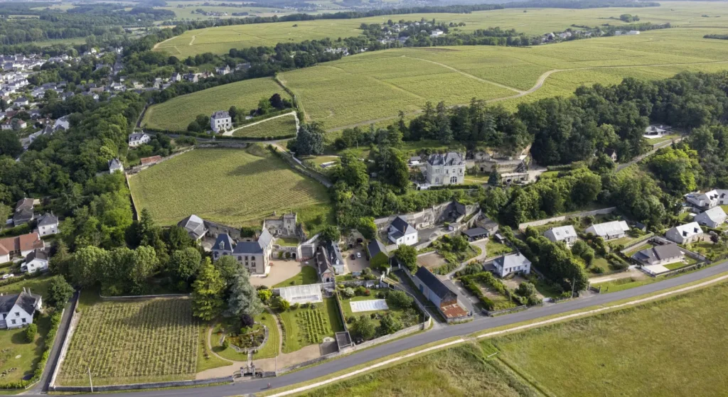 Vue aérienne du vignoble — Domaine Vincent Carême