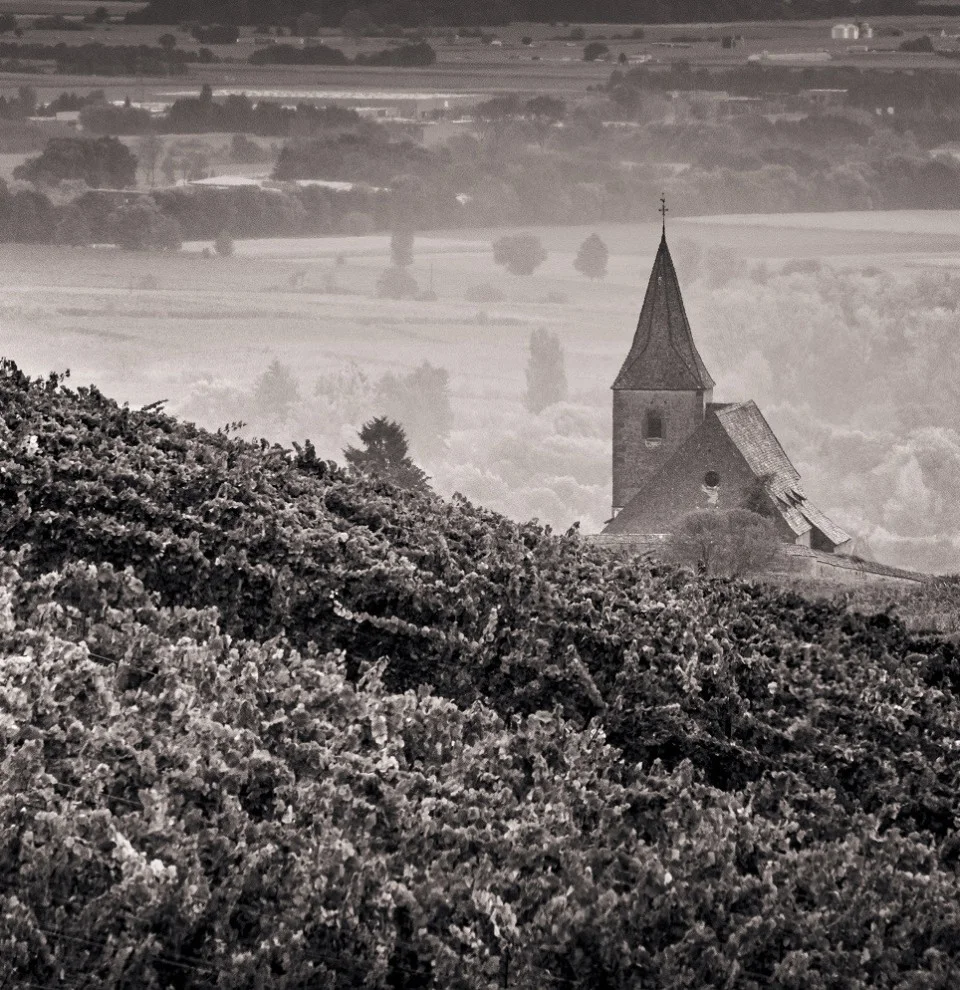 Une église au milieu des vignes — Domaine Zind Humbrecht