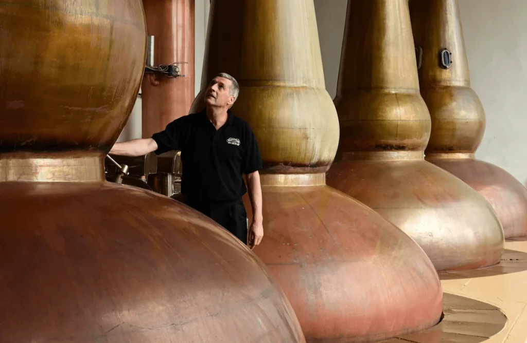Les alambics en cuivre — GlenDronach