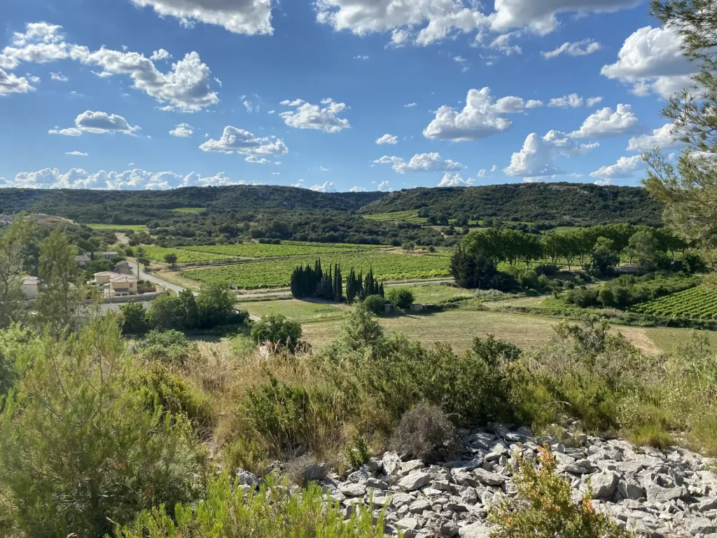 Le paysage autour des vignes — Le Petit Oratoire