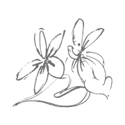 Logo — Le Rocher des Violettes