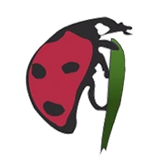 Logo — Mamaruta