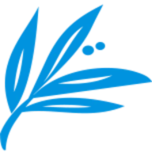 Logo — Mare