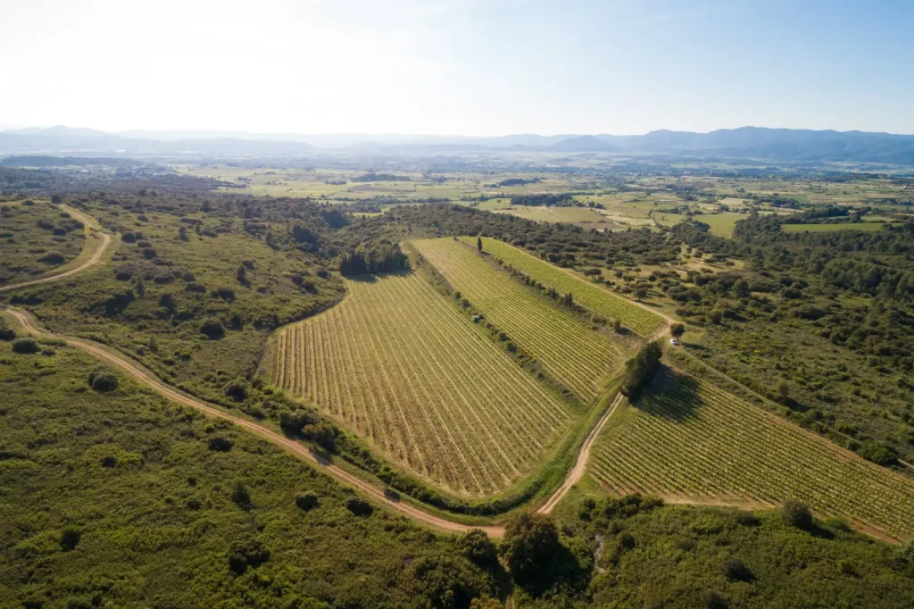 Vue aérienne du vignoble — Mas de Janiny