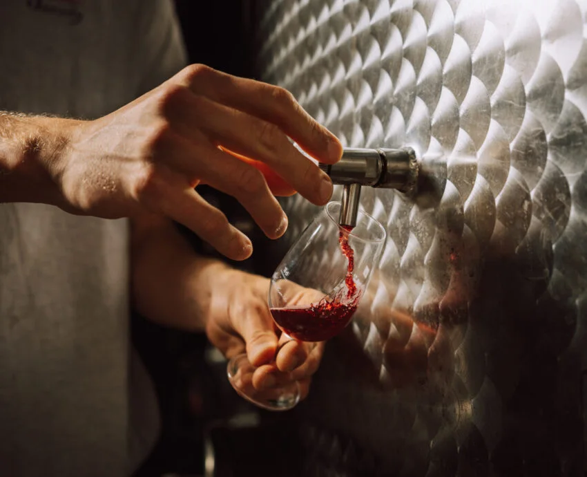 Prélèvement de vin en cuve — Mas de Janiny