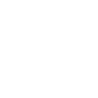 Logo — Neisson
