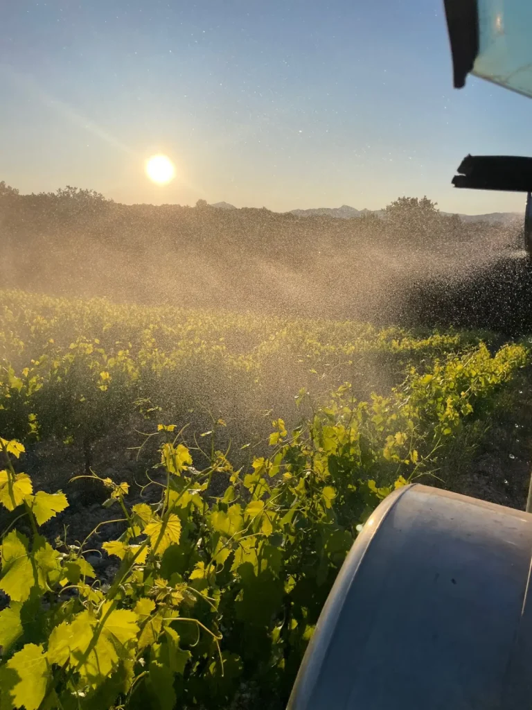 Le travail dans les vignes — Pascal Chalon