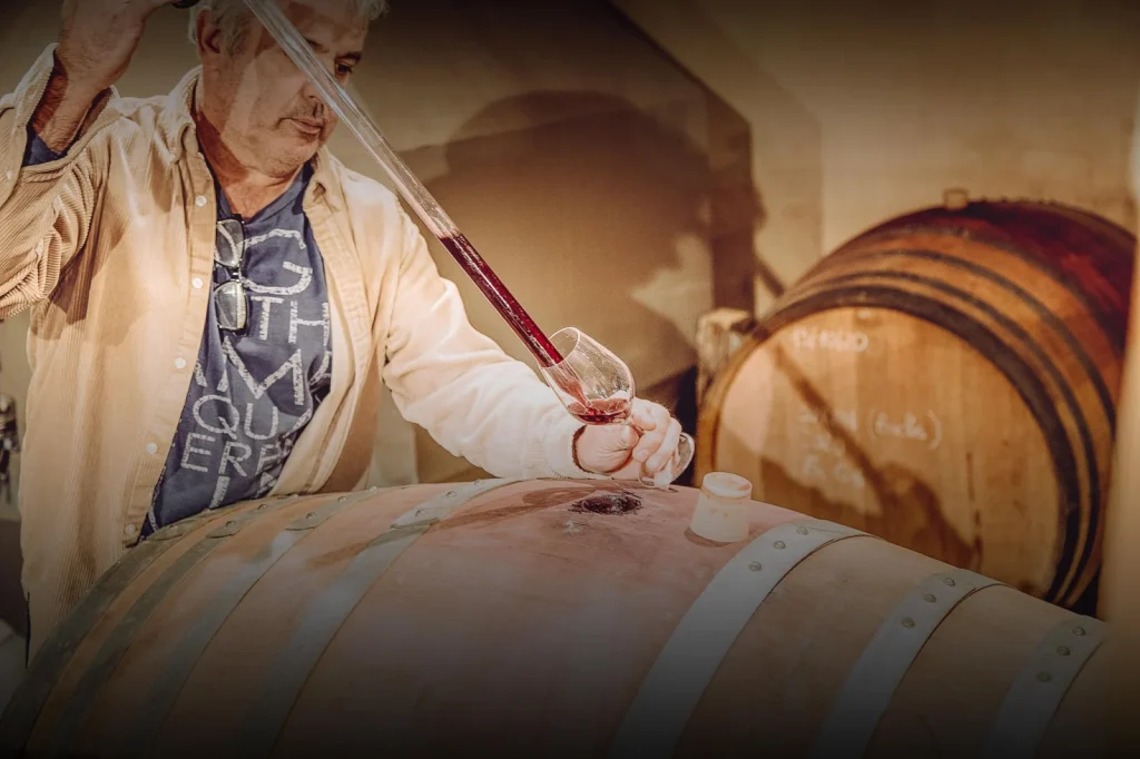 Prélèvement de vin en barrique — Vinoceros